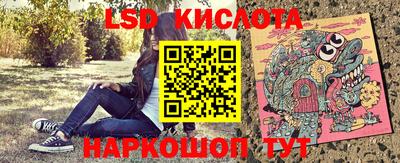 молекула духа Новозыбков